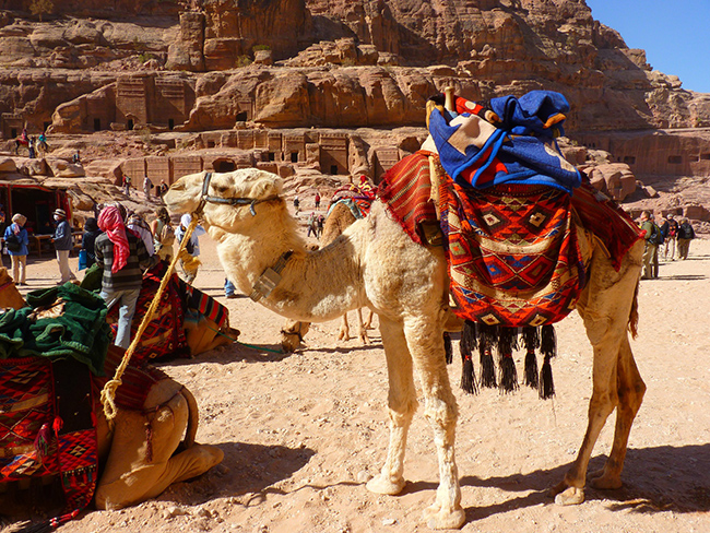 Study Arabic in Jordan - Petra destination