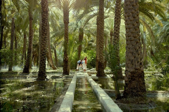 abu dhabi study arabic blog